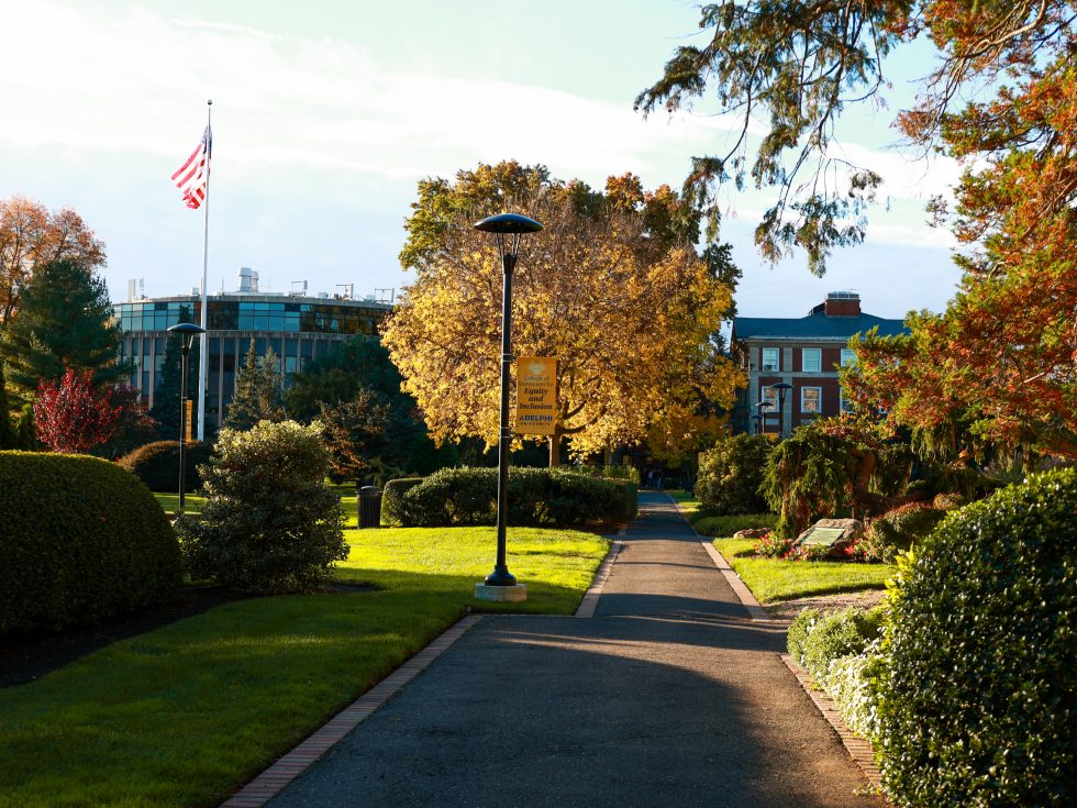 Shot of Adelphi Campus path surrounded by trees and buildings in the fall as the leaves change color.